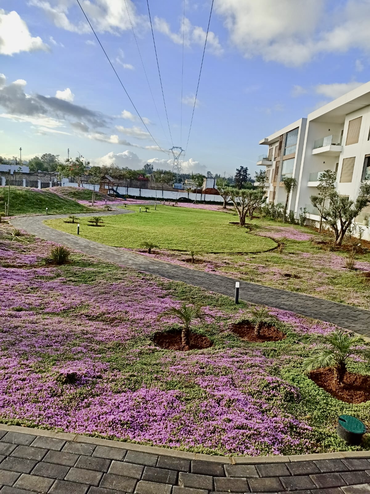 Amenagement paysager grande surface